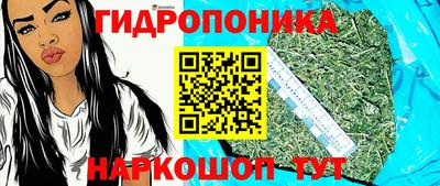 шишки Конаково