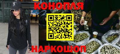 шишки Конаково