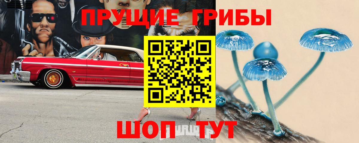 Псилоцибиновые грибы MAGIC MUSHROOMS  Вход с VPN  Псилоцибиновые грибы Cubensis  Коркино 