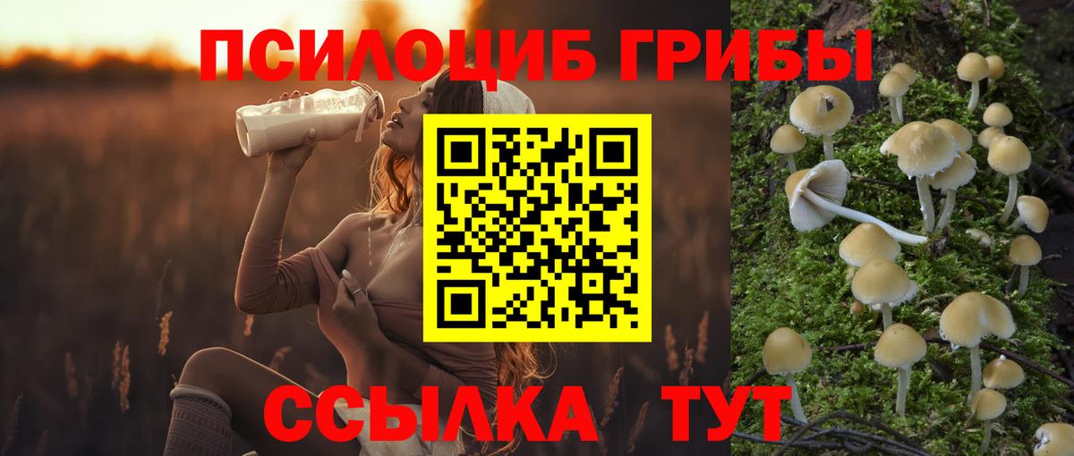 Галлюциногенные грибы мицелий Коркино